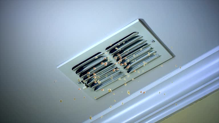 Best Ventilation Cleaning Services  in Sandusky, MI