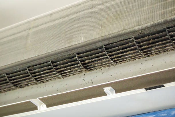 Best Air Duct Cleaning Company Near Me  in Sandusky, MI